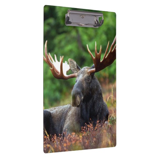 Porte-bloc Oie (Swatch)