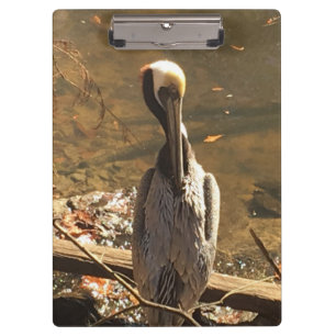 Porte-bloc Oiseau Brown et gris avec long bec