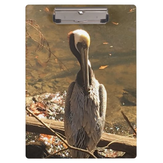 Porte-bloc Oiseau Brown et gris avec long bec (Devant)