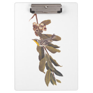 Porte-bloc Oiseau de la Paruline à gorge jaune d'Audubon sur