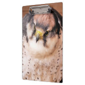 PORTE-BLOC OISEAU DE PREY (Gauche)