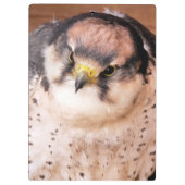 PORTE-BLOC OISEAU DE PREY (Dos)