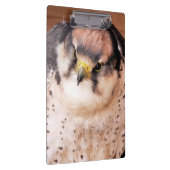 PORTE-BLOC OISEAU DE PREY (Swatch)