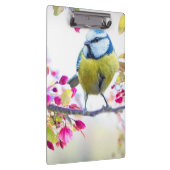 Porte-bloc Oiseau mignon (Swatch)