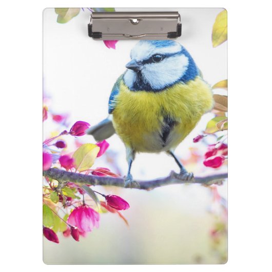 Porte-bloc Oiseau mignon (Devant)