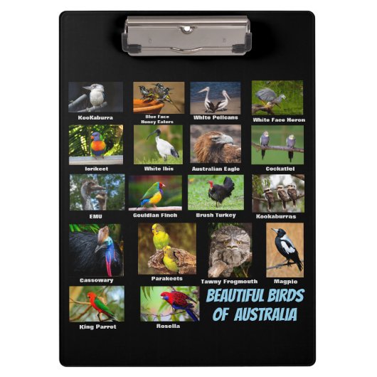 Porte-bloc Oiseaux d'Australie (Devant)