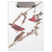 Porte-bloc Oiseaux rouges pourpres d'Audubon sur l'arbre à co (Devant)