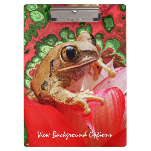 Porte-bloc Options de Porte - bloc Frog 5 (Devant)