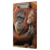Porte-bloc Orang-outan de mère et de bébé (Gauche)