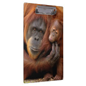 Porte-bloc Orang-outan de mère et de bébé (Swatch)