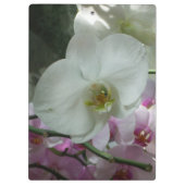 Porte-bloc Orchidées blanches et violettes (Dos)