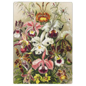 Porte-bloc Orchidées, Orchidée Denusblumen Ernst Haeckel (Dos)