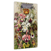 Porte-bloc Orchidées, Orchidée Denusblumen Ernst Haeckel (Swatch)