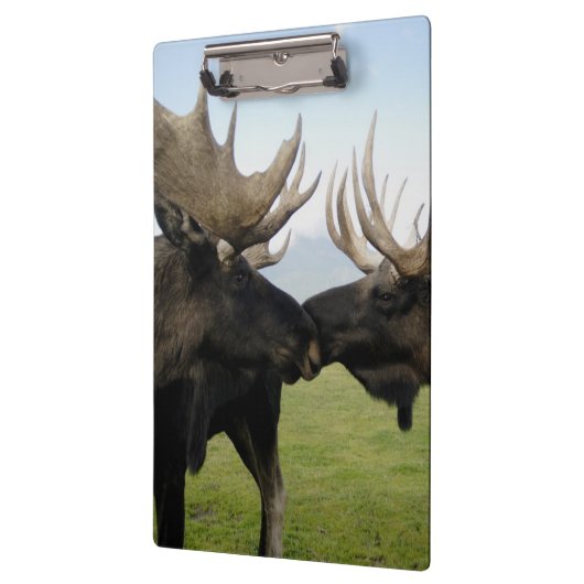 Porte-bloc Orignaux (Gauche)