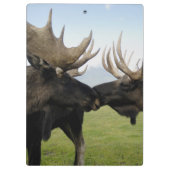 Porte-bloc Orignaux (Dos)