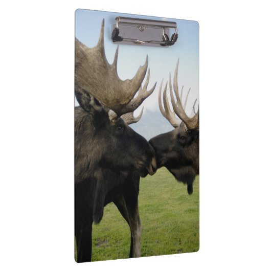 Porte-bloc Orignaux (Swatch)