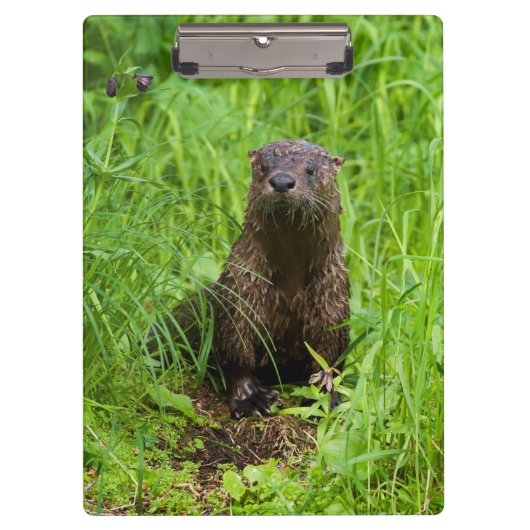 Porte-bloc Otter (Devant)