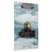 Porte-bloc Otter flottante (Swatch)
