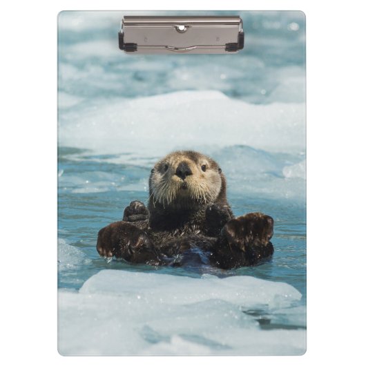 Porte-bloc Otter flottante (Devant)