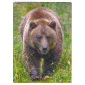 Porte-bloc Ours Brown (Dos)