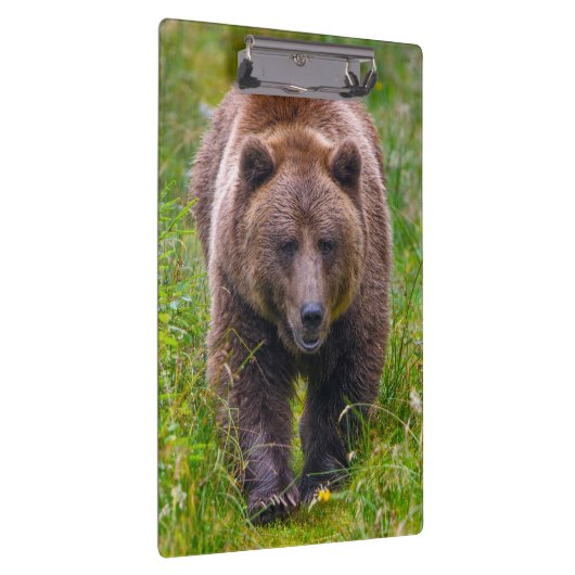 Porte-bloc Ours Brown (Swatch)