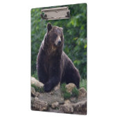 Porte-bloc Ours Brown (Gauche)
