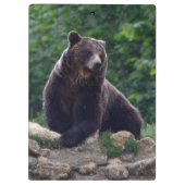 Porte-bloc Ours Brown (Dos)