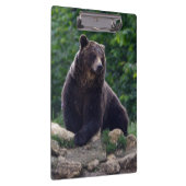 Porte-bloc Ours Brown (Swatch)