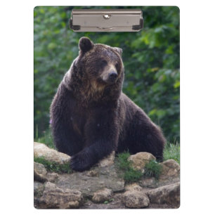 Porte-bloc Ours Brown