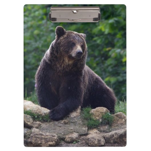 Porte-bloc Ours Brown (Devant)