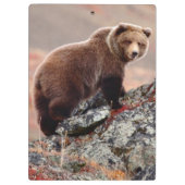 Porte-bloc Ours Brown de Denali (Dos)