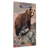 Porte-bloc Ours Brown de Denali (Swatch)