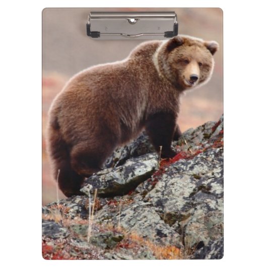 Porte-bloc Ours Brown de Denali (Devant)