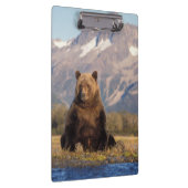 Porte-bloc ours brun, Ursus arctos, grizzli, Ursus (Swatch)