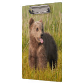 Porte-bloc Ours drôle de bébé des images | de Getty (Gauche)