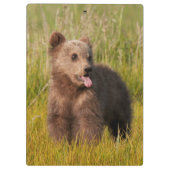 Porte-bloc Ours drôle de bébé des images | de Getty (Dos)