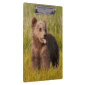 Porte-bloc Ours drôle de bébé des images | de Getty (Swatch)