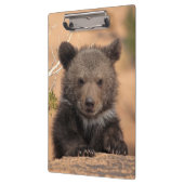Porte-bloc Ours gris CUB (Gauche)