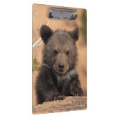 Porte-bloc Ours gris CUB (Swatch)