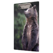 Porte-bloc Ours gris debout (Gauche)