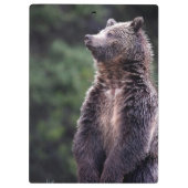 Porte-bloc Ours gris debout (Dos)