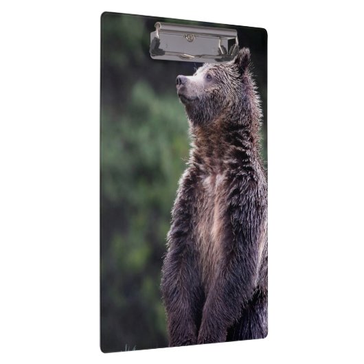 Porte-bloc Ours gris debout (Swatch)