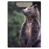 Porte-bloc Ours gris debout (Devant)