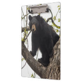Porte-bloc Ours noir Escalade (Gauche)