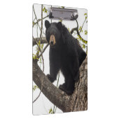 Porte-bloc Ours noir Escalade (Swatch)