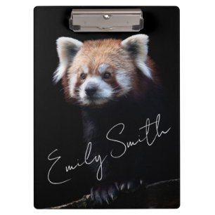 Porte-bloc Ours Panda Rouge