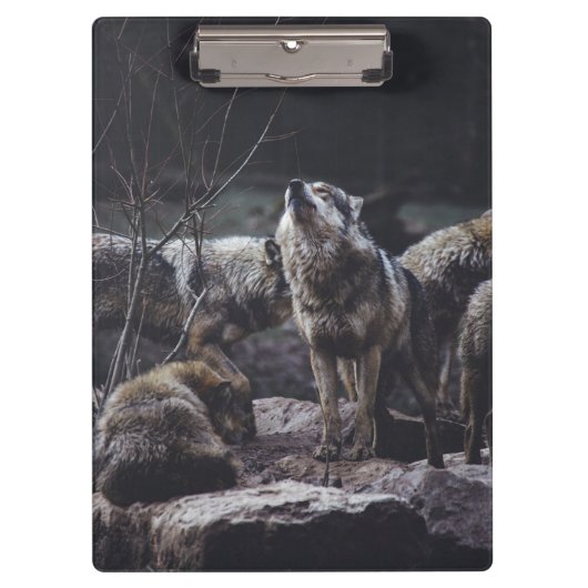 Porte-bloc Pack Wolf (Devant)