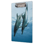 Porte-bloc Paire de dauphins (Gauche)