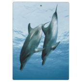 Porte-bloc Paire de dauphins (Dos)