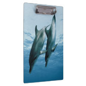 Porte-bloc Paire de dauphins (Swatch)